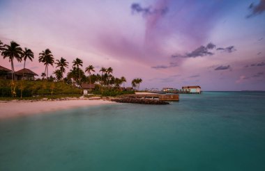 Tropikal sahildeki palmiye ağaçları gün batımında. Maldivler Kavşağı, Hard Rock Oteli, Haziran 2021. Uzun pozlama resmi
