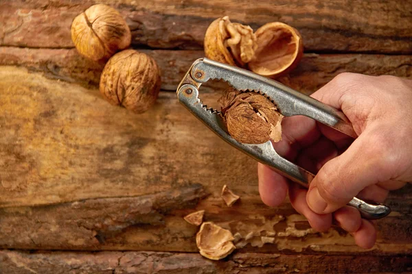 Man cracking walnut with metal nutcracker in hand on wooden back — Stock Photo, Image