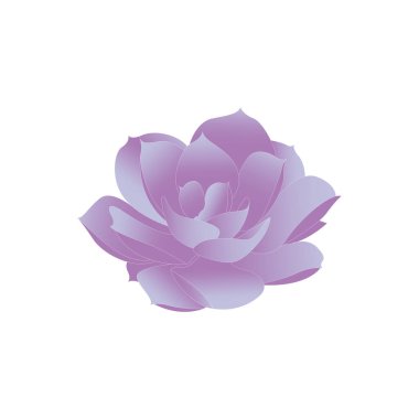 Güzel mor sulu kaktüs logosu şablonu