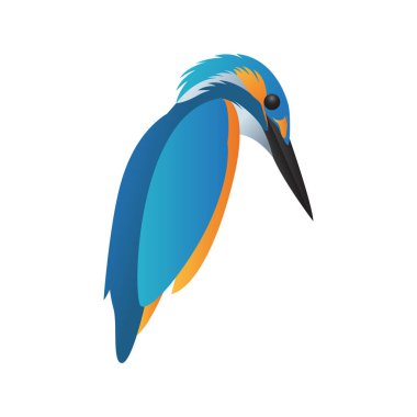 Beyaz arkaplanda renkli Kingfisher kuş logo şablonu izole