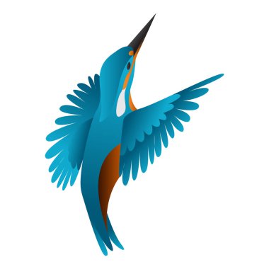 beyaz arkaplanda izole edilmiş Kingfisher kuş vektör çizimi