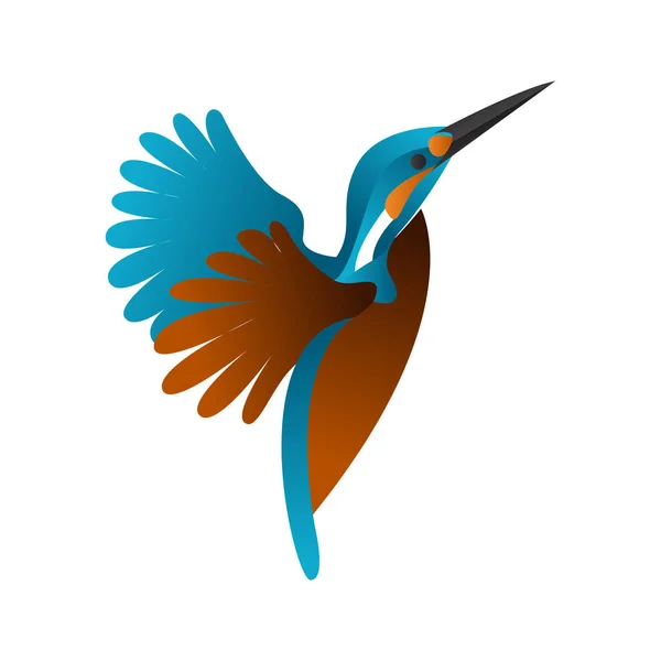 beyaz arkaplanda izole edilmiş Kingfisher kuş vektör çizimi