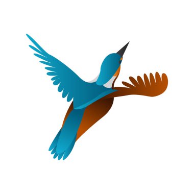 gradyan Kingfisher kuş vektör çizimi