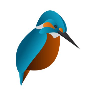 gradyan Kingfisher kuş vektör çizimi