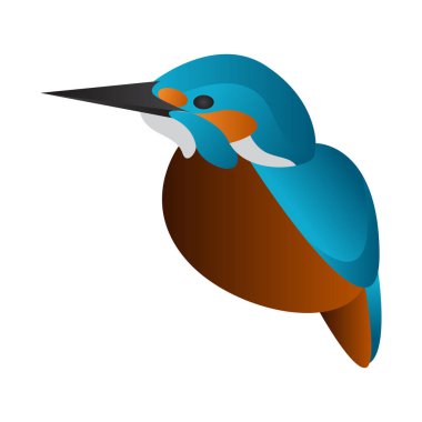 gradyan Kingfisher kuş vektör çizimi