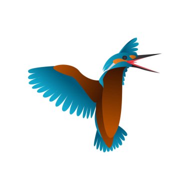 gradyan Kingfisher kuş vektör çizimi