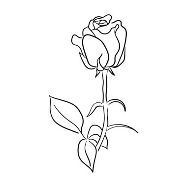 Dekorasyon ve logo şablonu için uygun basit el çizimi sanat gül çiçek vektör ilüstrasyonuName