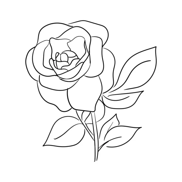 Línea Dibujada Mano Simple Arte Rosa Flor Vector Ilustración Adecuada — Vector de stock