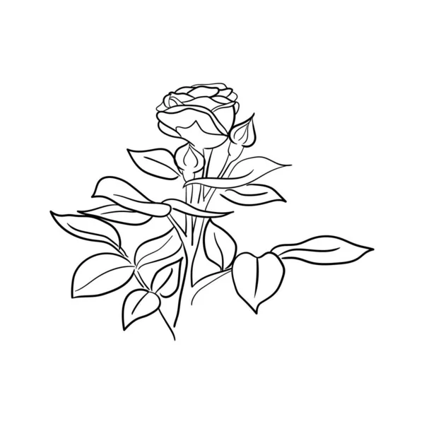 Illustration Vectorielle Fleur Rose Dessin Main Simple Pour Décoration Modèle — Image vectorielle