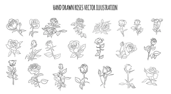 Black White Line Hand Drawn Roses Flower Vector Bundle Set — Stock Vector