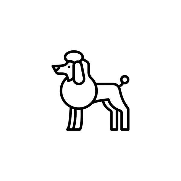 Cão Mostrar Ícone Vetor Logotipo — Vetor de Stock