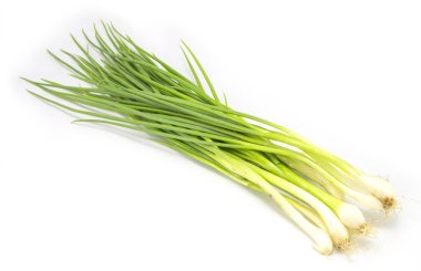 Tay soğan bahar grup izole