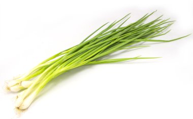 Tay soğan bahar grup izole