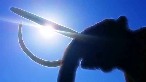 Digital painting style representing a mammoth in the afternoon sun — Stock Photo, Image