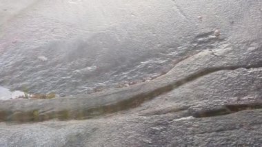 Tanum, İsveç, 28 Ekim 2020. İsveç 'in güneybatısında Bronz Çağı' ndan kalma tarih öncesi kaya oymaları