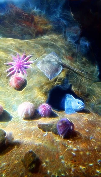 Стиль Цифрового Кольорового Живопису Представляє Морську Зірку Морські Урчіни Породну — стокове фото