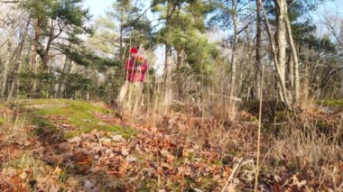 Kırmızı şapkalı ve ceketli bir kişinin ormana küçük bir gururlu renkli ladin diktiği kısa bir video.