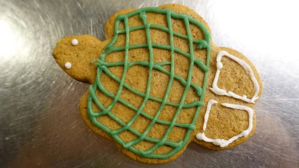 カラーカメの形をしたジンジャーブレッドクッキー — ストック写真