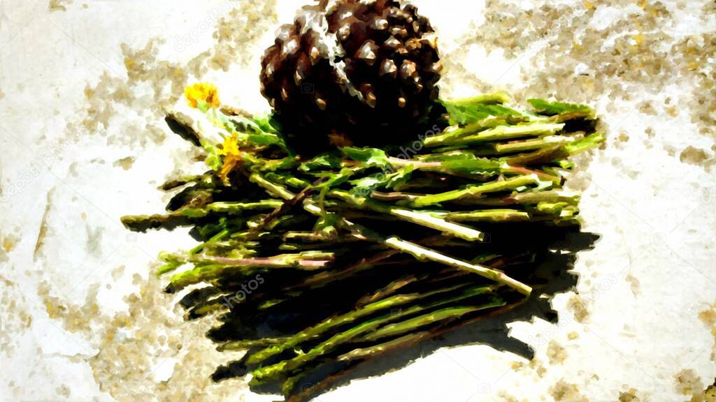 A bundle of freshly picked wild asparagus, yellow flowers and a pine cone painted in digital oil painting style