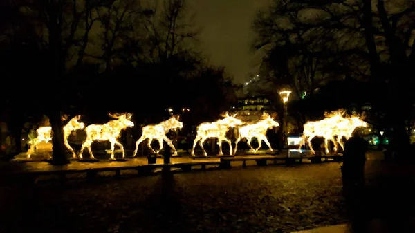 Alce Luminoso Trote Noite Rua Escandinávia Estilo Pintura Óleo Digital — Fotografia de Stock