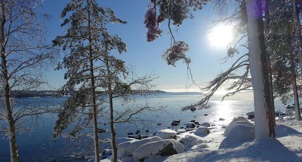 Zimowy Dzień Śniegiem Pełnym Słońcem Nad Morzem Skandynawii — Zdjęcie stockowe