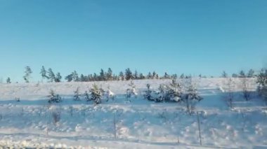 Güneş ve karla dolu bir kış gününde arabadan İskandinav manzarası