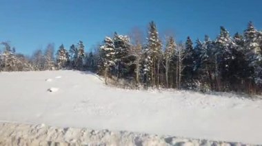 Güneş ve karla dolu bir kış gününde arabadan İskandinav manzarası