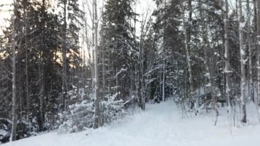 Güneş, İskandinavya 'daki karlı tepenin üzerinde bulutlu bir gökyüzünde yükseldi.