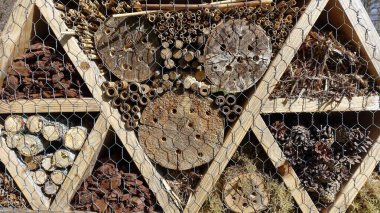 Böcek Oteli. Doğal malzemelerle dolu ahşap yapı bahar boyunca böcekleri karşılamaya hazır..