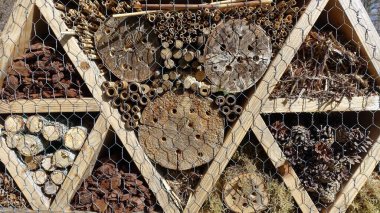 Böcek Oteli. Doğal malzemelerle dolu ahşap yapı bahar boyunca böcekleri karşılamaya hazır..