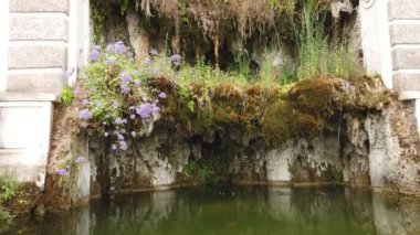 Antik Roma 'nın kalıntılarındaki bir çeşmenin videosu.