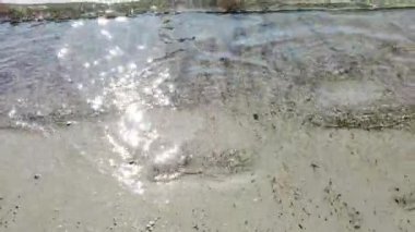 Deniz tarafından yıkanan kıyı şeridinin videosu ve bazı tatilcilerin siluetleri.