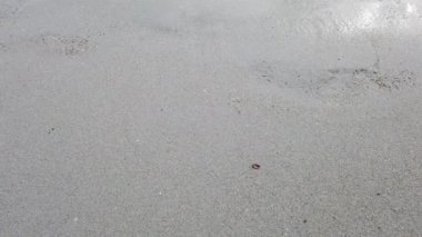 Deniz kenarında ıslak bir şekilde yürüyen bir insanın ayaklarının videosu.
