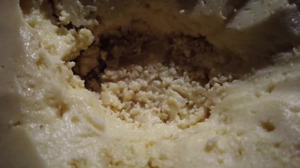 Vídeo de un molde de queso de oveja podrido con gusanos — Vídeo de stock