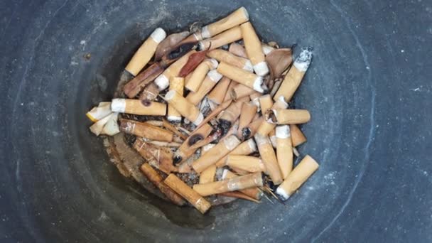 Vidéo d'un pot plein de mégots de cigarette — Video