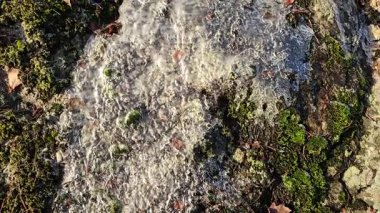 Bir kayanın üzerinde oluşan buz tabakasının altından ince bir su akıntısı akar..