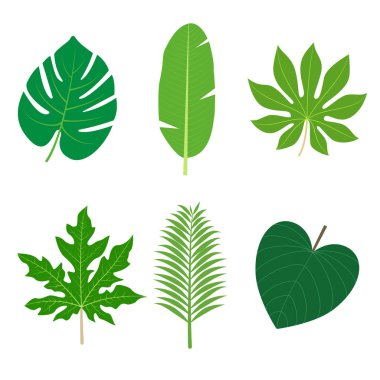 Çiçek topikal yapraklar düz çizim seti