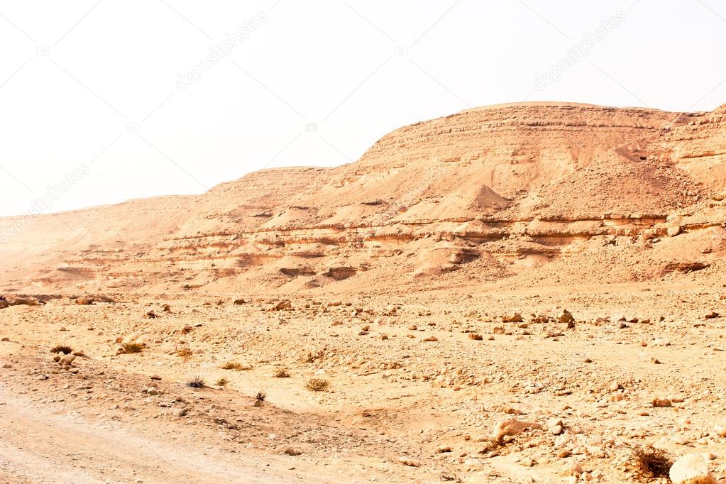 The Desert Degla Valley Sahara