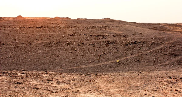 Çöl degla Vadisi sahara — Stok fotoğraf