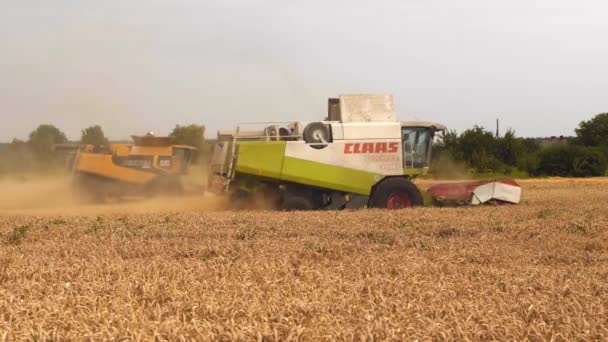 Lutsk, Ukrajina - 5. srpna 2020: Dva moderní kombajny s odlučovačem rotorů, řezy plev a prahy zralých pšeničných zrn. Sklizeň pšenice zemědělskými stroji na poli v létě — Stock video
