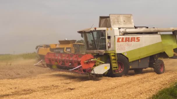 Lutsk, Ucrania - 5 de agosto de 2020: Dos cosechadoras modernas con separación del rotor, cortes de esparcidor de paja y umbrales de grano de trigo maduro. Cosecha de trigo por maquinaria agrícola en el campo en verano — Vídeos de Stock