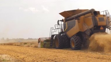 Yaz mevsiminde tarlada buğday hasadı. Hasat makinesiyle yayılan geniş saman pervane ayrımı ile birleşiyor. Tarımsal makinelerle mahsul toplama süreci: olgunlaşmış buğday buğdayı keser ve harcar
