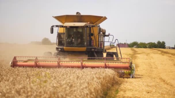 夏天在田里收割小麦.人在联合收割机和两个转子分离，切碎和脱粒成熟的麦粒。农业机械采集作物的过程 — 图库视频影像
