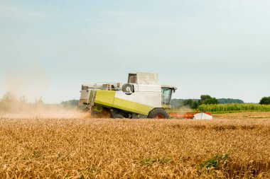 Döner saman yürüteci olgunlaşmış buğday tanelerini keser ve harcar. Hasat makineleriyle buğday başlığını birleştirin, geniş saman yayıcı ile mısır gevreği toplayın. Yaz mevsiminde tarımsal makinelerin ekinlerini tarlada toplamak