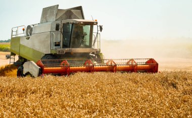 Döner saman yürüteci olgunlaşmış buğday tanelerini keser ve harcar. Hasat başlığıyla hasatçıları birleştiren adam, mısır gevreği toplayan geniş saman yayıcısı. Yazın tarlada tarım makineleri tarafından mahsul toplanması