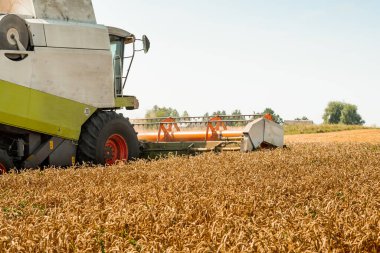 Döner saman yürüteci olgunlaşmış buğday tanelerini keser ve harcar. Hasat makineleriyle buğday başlığını birleştirin, geniş saman yayıcı ile mısır gevreği toplayın. Yaz mevsiminde tarımsal makinelerin ekinlerini tarlada toplamak