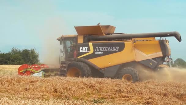 Lutsk, Ucrania - 29 de julio de 2020: Combine cosechadora con cabecera de grano, esparcidor ancho de paja cosechando espigas de cereales. Rotary paja caminante cortar y trilla grano de trigo. Recolección de cultivos por maquinaria agrícola — Vídeo de stock