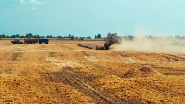 Lutsk, Ucrânia - 5 de agosto de 2020: duas modernas colheitadeiras combinadas com separação de rotores, cortes de espalhadores de palha e debulhas de grãos de trigo maduros. Processo de colheita por maquinaria agrícola em campo — Vídeo de Stock