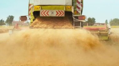 Yaz mevsiminde tarlada buğday hasadı. Hasat makinesiyle yayılan geniş saman pervane ayrımı ile birleşiyor. Tarımsal makinelerle mahsul toplama süreci: olgunlaşmış buğday buğdayı keser ve harcar