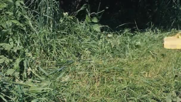 星型の三つの鋼のナイフブレードと草のデフレクターとガソリンブラシカッターや草のトリマーでアマチュア男の切断草。雑草をトリミングするために使用される庭や農具。手押しブラシカッター — ストック動画